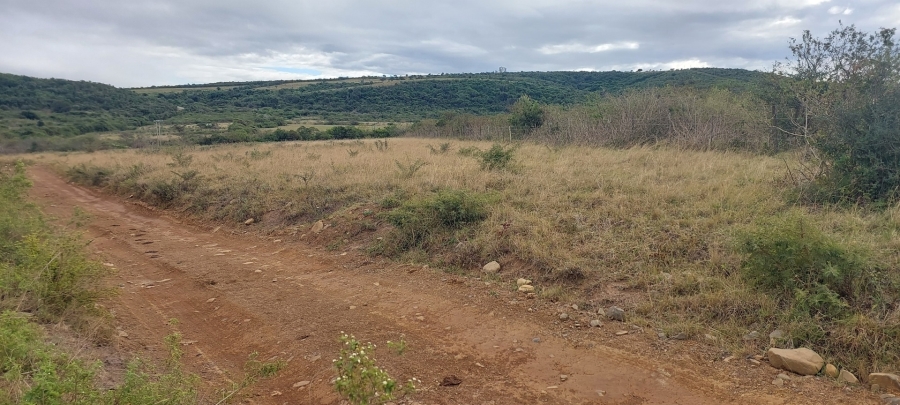 3 Bedroom Property for Sale in Komga Rural Eastern Cape